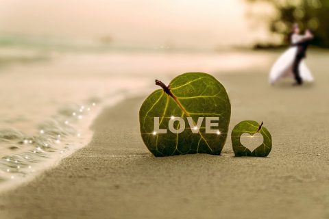 True Love